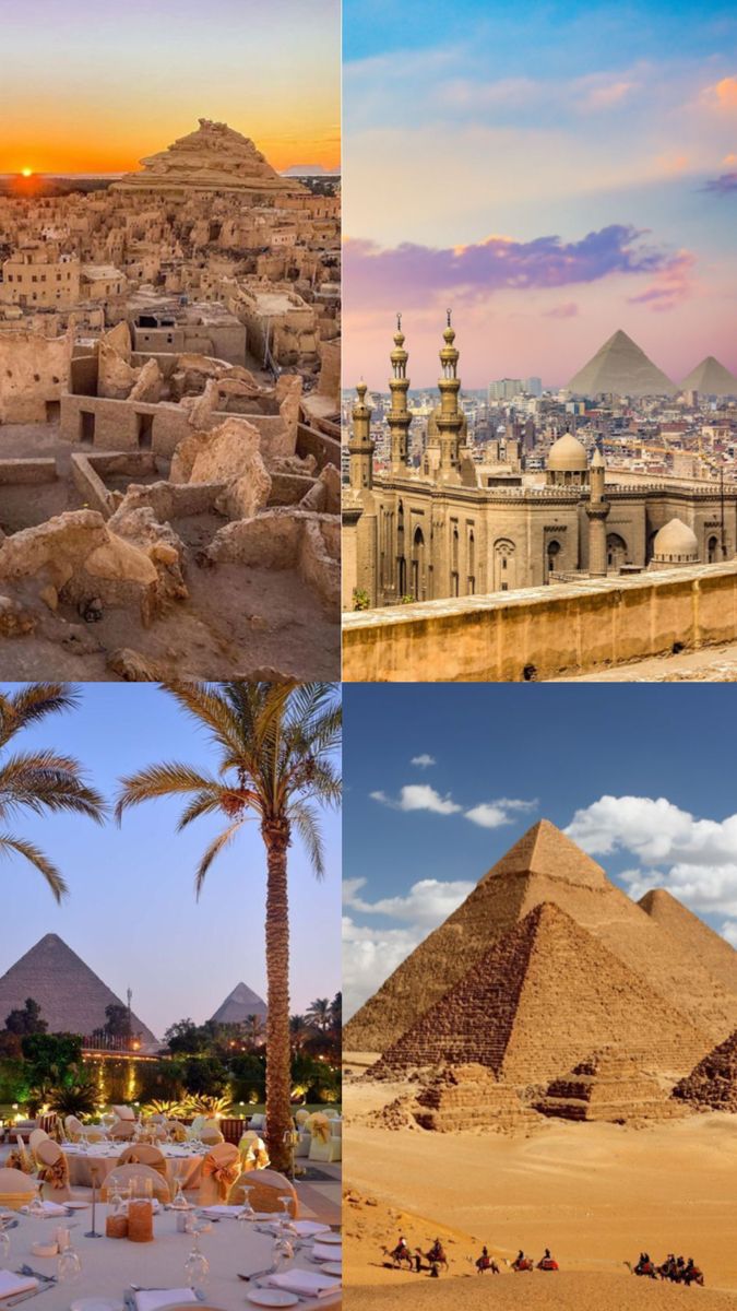 Travel Trips